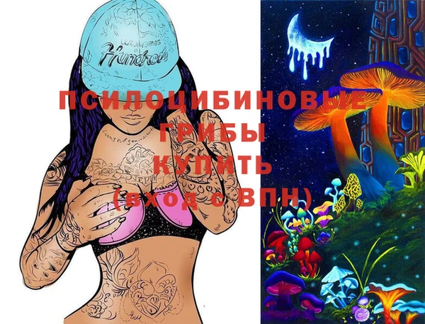 jwh Ладушкин